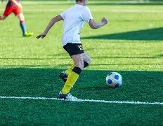 山东泰山队,瓦科进球荣,膺亚冠第,杏彩娱乐链接,杏彩娱乐官网地址,杏彩娱乐官方平台,杏彩娱乐入口站点