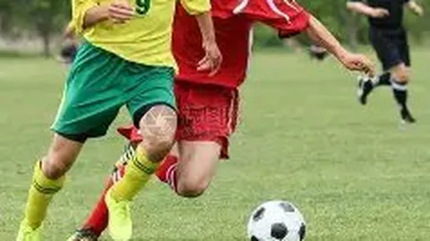 杏彩娱乐 资讯 133832 drc