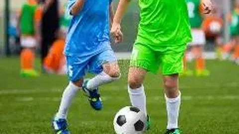 杏彩娱乐 资讯 133848 qjy