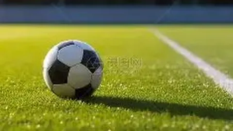 杏彩娱乐 产品 133915 49a