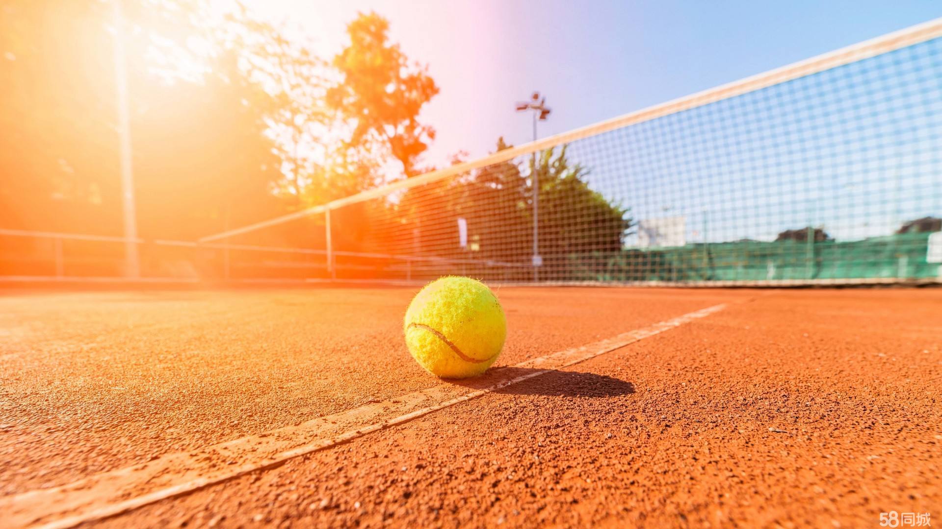 全力以赴 全力以赴